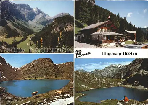 Lenk Simmental Iffigenalp Kuh See  Kat. Lenk Simmental