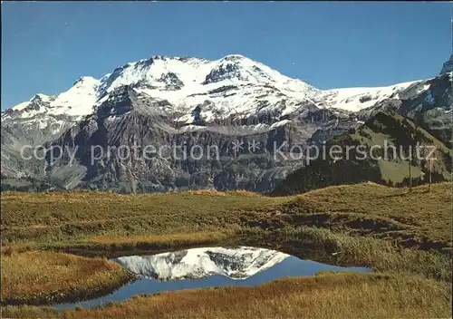 Lenk Simmental Duftiseeli Wildstrubel Kat. Lenk Simmental