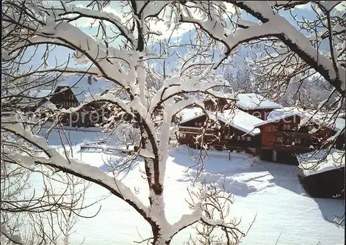 Saanen Teilansicht Kat. Saanen