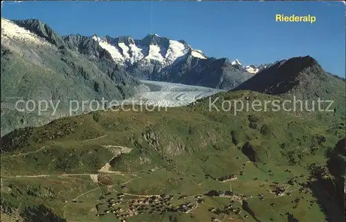 Riederalp Grossen Aletschgletscher Wannenhorn Oberaarhorn Bettmerhorn Kat. Riederalp