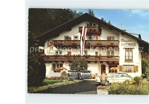 Zell See Pension Alpenrose Kat. Zell am See