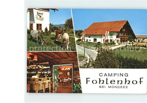 Mondsee Salzkammergut Camping Fohlenhof Pferde Kat. Mondsee