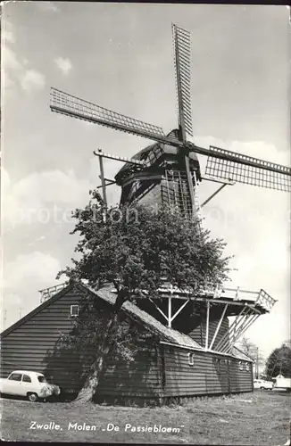 Zwolle Overijssel Molen Passiebloem Kat. Zwolle