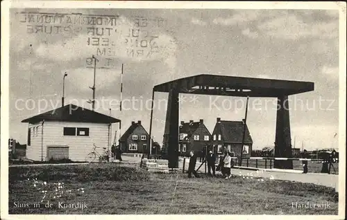 Harderwijk Knardijk Kat. Harderwijk