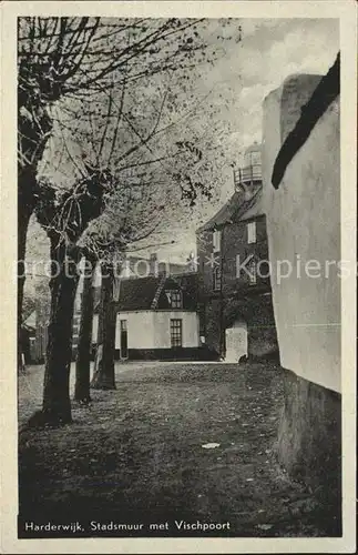 Harderwijk Stadsmuur Vischpoort Kat. Harderwijk