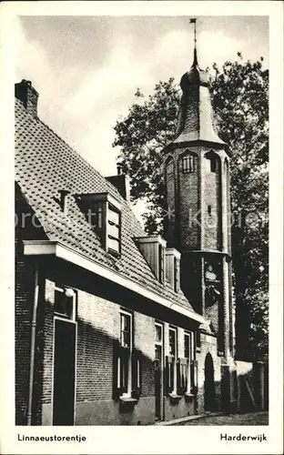 Harderwijk Linnaeustorentje Kat. Harderwijk