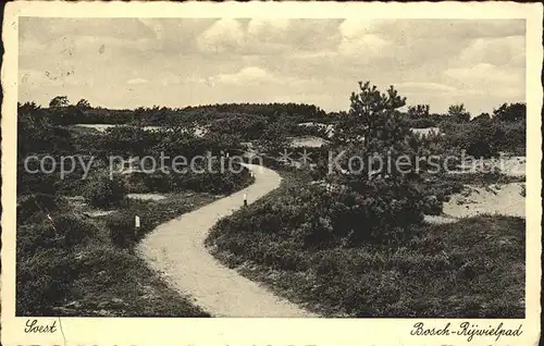 Soest Netherlands Bosch Rijwielpad Kat. Soest