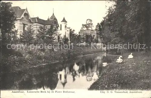 Amersfoort Luntersche Beek bij de Pieter Bothstraat Schwan Kat. Amersfoort