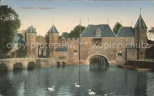 Amersfoort Koppelpoort Schwan Kat. Amersfoort