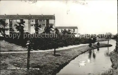 Bergen op Zoom Vijverberg Schwaene / Bergen op Zoom /