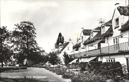 Driebergen Park Welgetegen Kat. Driebergen