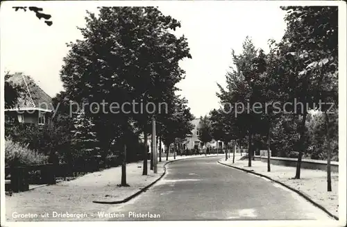 Driebergen Wetstein Pfisterlaan Kat. Driebergen