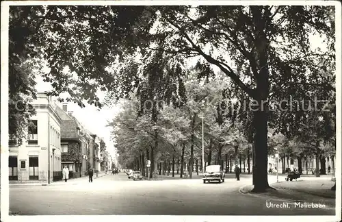 Utrecht Maliebaan Kat. Utrecht