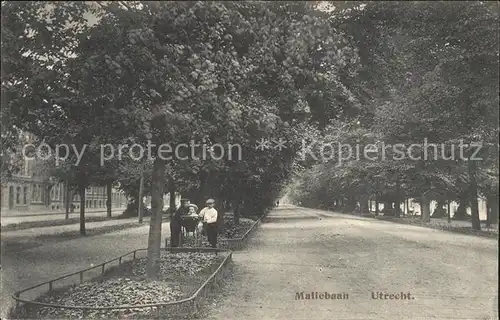 Utrecht Maliebaan Baumallee Kat. Utrecht