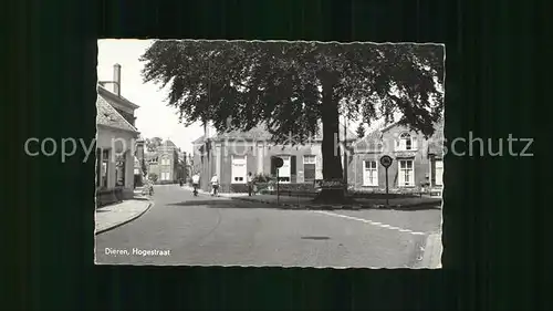 Dieren Hogestraat Kat. Dieren