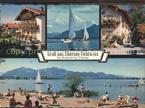 Feldwies Blumenpracht Segelsport Chiemseestrand Alpenpanorama Kat. uebersee Chiemsee