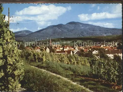 Muellheim Baden Panorama Weinort Weinrebe Kat. Muellheim