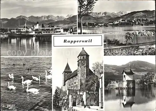 Rapperswil SG Dampfer Burg Schwaene Kat. Rapperswil SG