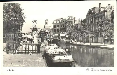 Leiden Rijn betermarkt Kat. Leiden