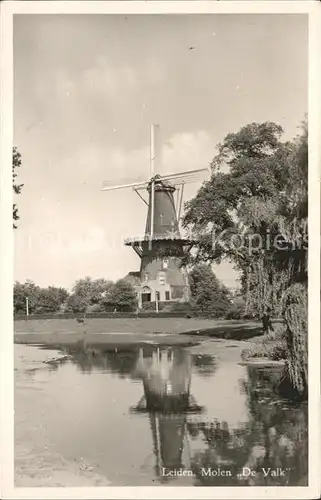 Leiden Molen De Valk Kat. Leiden