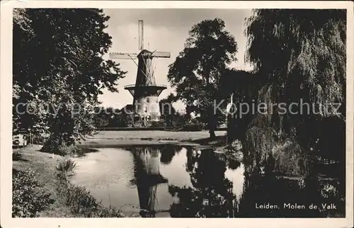 Leiden Molen De Valk Kat. Leiden