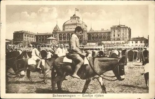 Scheveningen Ezeltje rijden Eselreiten Strand Kat. Scheveningen