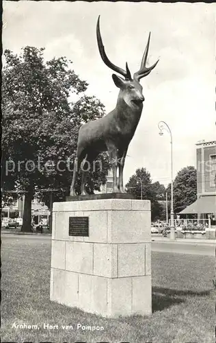 Arnhem Hert Pompon Kat. Arnhem