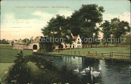 Arnhem Park Sonsbeek Watermolen Wassermuehle Schwan Kat. Arnhem