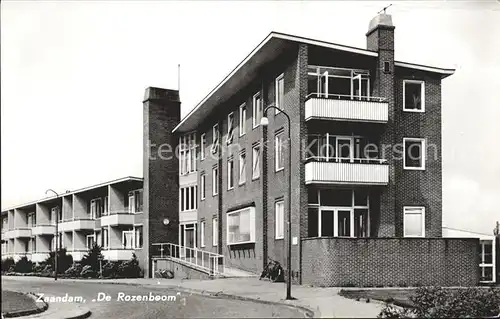 Zaandam De Rozenboom Kat. Zaandam