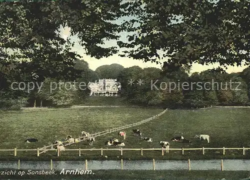 Arnhem Gezicht op Kasteel Sonsbeek Weide Kuehe Schloss Kat. Arnhem