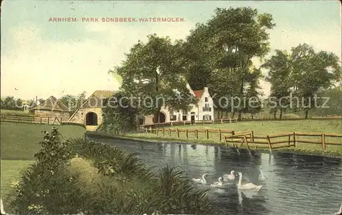 Arnhem Park Sonsbeek Watermolen Schwan Kat. Arnhem