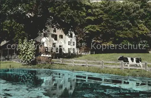 Arnhem Boerderij Grote Weide Kuh Kat. Arnhem