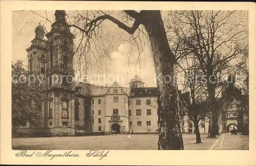 Bad Mergentheim Schloss Kat. Bad Mergentheim