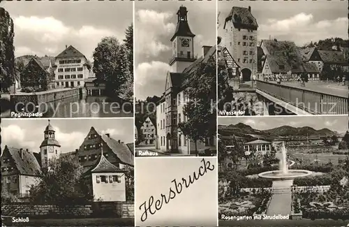 Hersbruck Pegnitz Wassertor Schloss Rosengarten Kat. Hersbruck