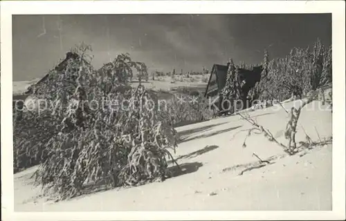 Oberwiesenthal Erzgebirge Haus im Wald Kat. Oberwiesenthal