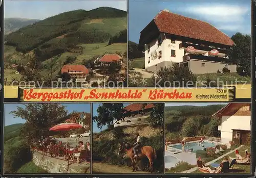 Buerchau Berggasthof Sonnhalde Pferd Schwimmbad Kat. Buerchau