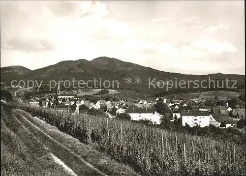 Muellheim Baden Blick von den Reben Kat. Muellheim