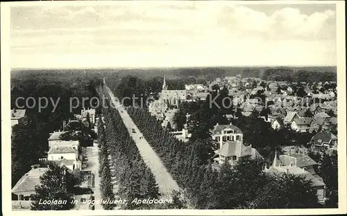 Apeldoorn Loolaan Kat. Apeldoorn