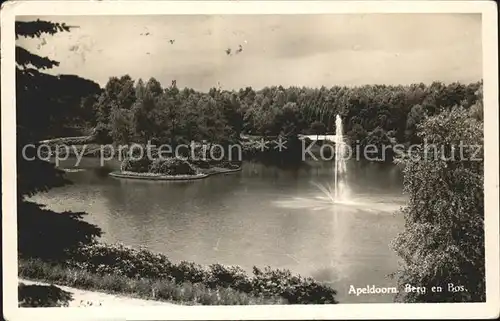 Apeldoorn Berg en Bos Kat. Apeldoorn