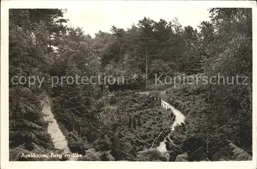 Apeldoorn Berg en Bos Kat. Apeldoorn