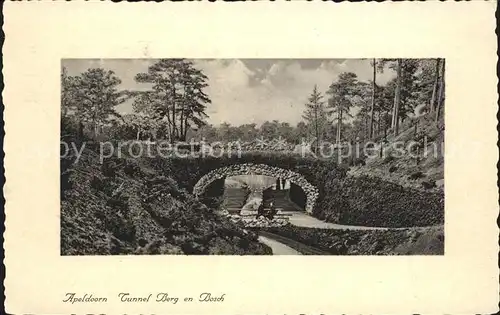 Apeldoorn Tunnel Berg en Bosch Kat. Apeldoorn