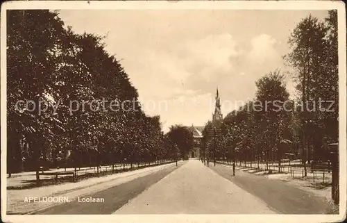 Apeldoorn Loolaan Kat. Apeldoorn