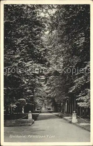 Apeldoorn Paleislaan t Loo Kat. Apeldoorn