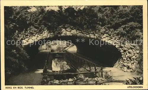 Apeldoorn Berg on Bos Tunnel Kat. Apeldoorn