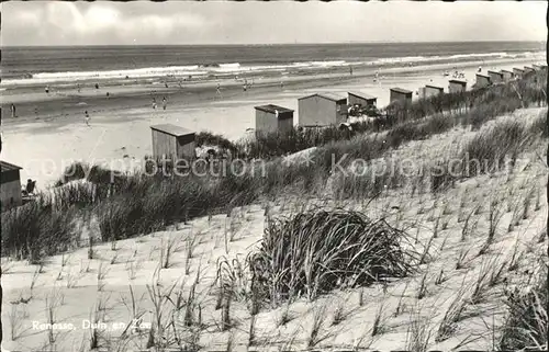 Renesse Strand Duenen Kat. Renesse