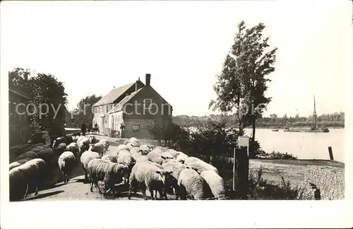 Dordrecht Gravendeelse Veer  Kat. Dordrecht