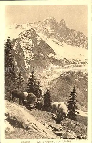 Chamonix Sur le Chemin de la Flegere Moutons Kat. Chamonix Mont Blanc