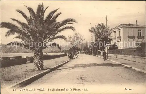 Juan les Pins Boulevard de la Plage Palmier Kat. Antibes