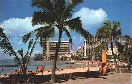 Waikiki Beach Palm Trees