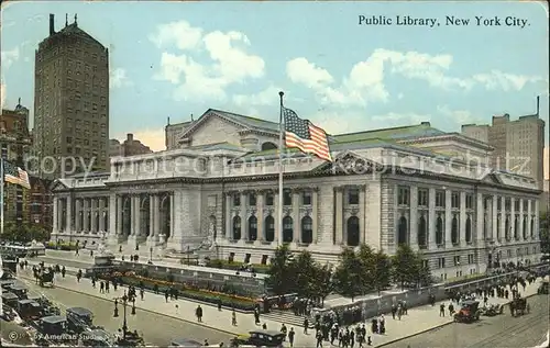 New York City Public Library Flag / New York /